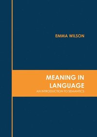 bokomslag Meaning in Language: An Introduction to Semantics