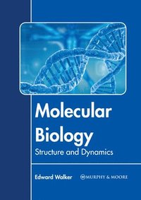 bokomslag Molecular Biology: Structure and Dynamics