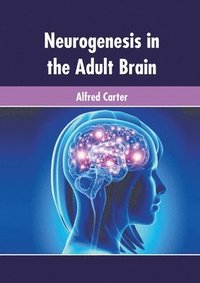 bokomslag Neurogenesis in the Adult Brain