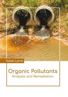 bokomslag Organic Pollutants: Analysis and Remediation