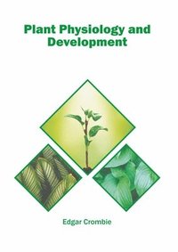 bokomslag Plant Physiology and Development