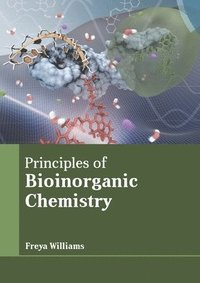 bokomslag Principles of Bioinorganic Chemistry