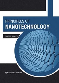 bokomslag Principles of Nanotechnology
