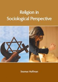 bokomslag Religion in Sociological Perspective