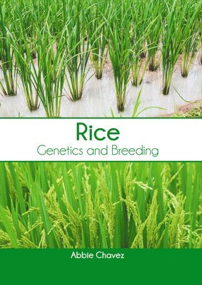 bokomslag Rice: Genetics and Breeding