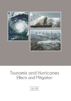 bokomslag Tsunamis and Hurricanes: Effects and Mitigation