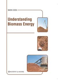 bokomslag Understanding Biomass Energy