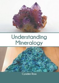 bokomslag Understanding Mineralogy