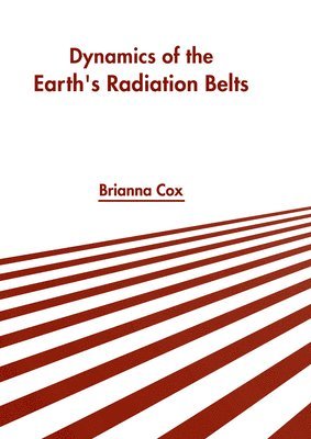 bokomslag Dynamics of the Earth's Radiation Belts