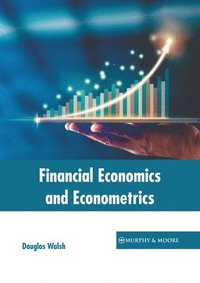 bokomslag Financial Economics and Econometrics