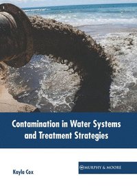 bokomslag Contamination in Water Systems and Treatment Strategies