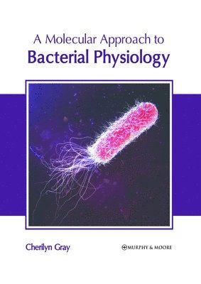 A Molecular Approach to Bacterial Physiology