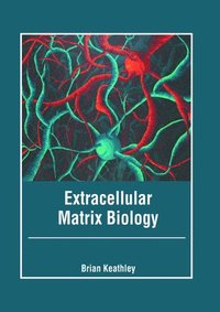 bokomslag Extracellular Matrix Biology