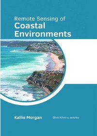 bokomslag Remote Sensing of Coastal Environments