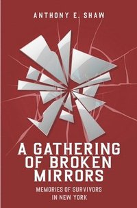 bokomslag Gathering of Broken Mirrors