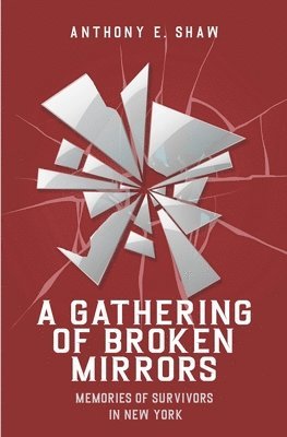 bokomslag Gathering of Broken Mirrors