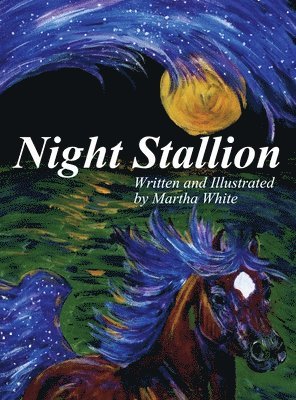 bokomslag Night Stallion