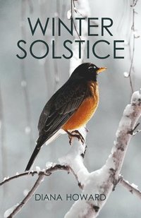 bokomslag Winter Solstice