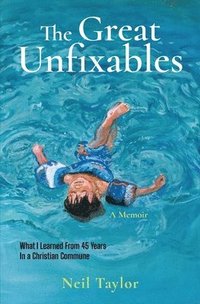 bokomslag Great Unfixables