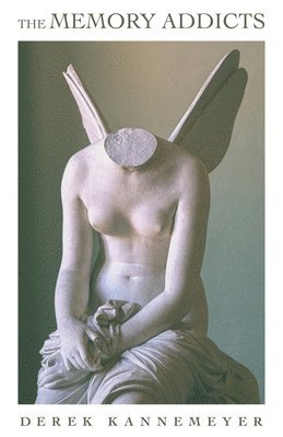 Derek Kannemeyer - Memory Addicts, Häftad