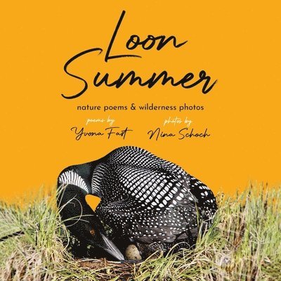 Loon Summer 1