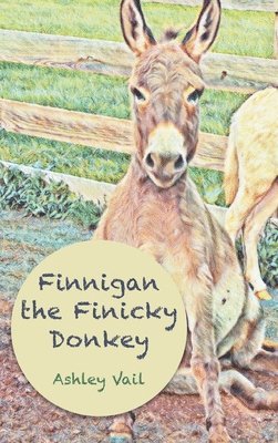 bokomslag Finnigan the Finicky Donkey