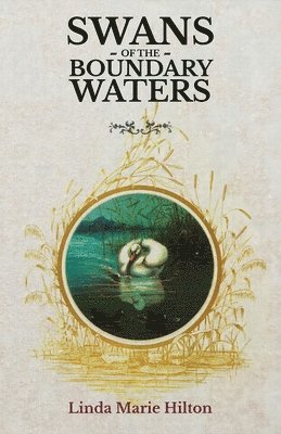 Swans of the Boundary Waters