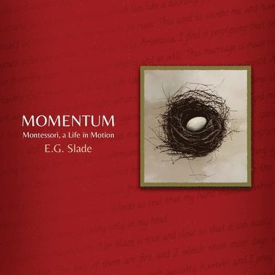 Momentum 1