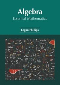 bokomslag Algebra: Essential Mathematics