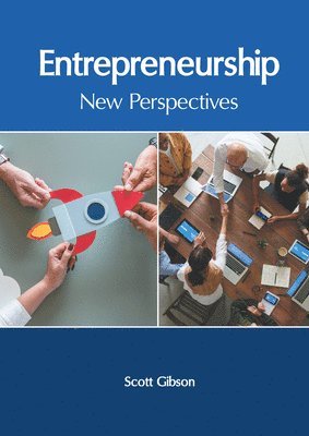 Scott Gibson - Entrepreneurship: New Perspectives, Inbunden