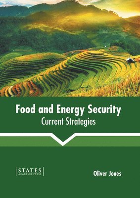 bokomslag Food and Energy Security: Current Strategies