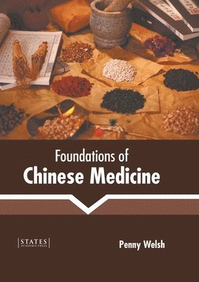 bokomslag Foundations of Chinese Medicine