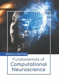 bokomslag Fundamentals of Computational Neuroscience