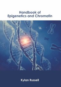 bokomslag Handbook of Epigenetics and Chromatin