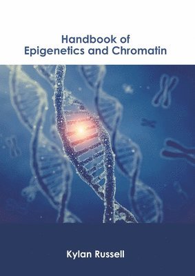 Kylan Russell - Handbook of Epigenetics and Chromatin, Inbunden