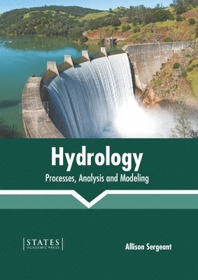 Allison Sergeant - Hydrology: Processes, Analysis and Modeling, Inbunden