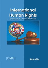 bokomslag International Human Rights: Advances in Laws and Practice