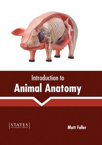 bokomslag Introduction to Animal Anatomy