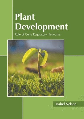Isabel Nelson - Plant Development: Role of Gene Regulatory Networks, Inbunden