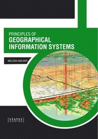 bokomslag Principles of Geographical Information Systems