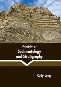 bokomslag Principles of Sedimentology and Stratigraphy