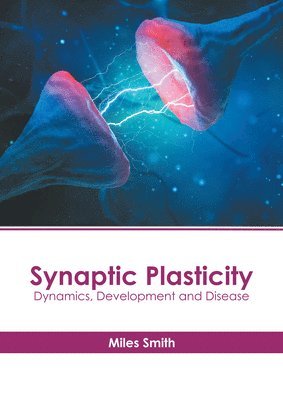 bokomslag Synaptic Plasticity: Dynamics, Development and Disease