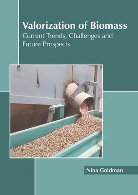 bokomslag Valorization of Biomass: Current Trends, Challenges and Future Prospects
