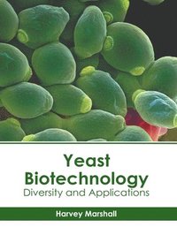 bokomslag Yeast Biotechnology: Diversity and Applications