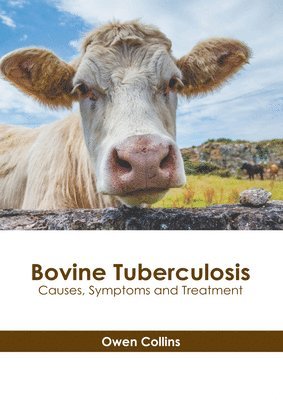 Bovine Tuberculosis: Causes, Symptoms and Treatment 1