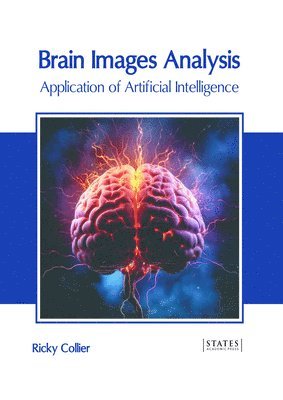 Brain Images Analysis: Application of Artificial Intelligence