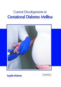 bokomslag Current Developments in Gestational Diabetes Mellitus