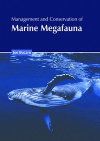 bokomslag Management and Conservation of Marine Megafauna