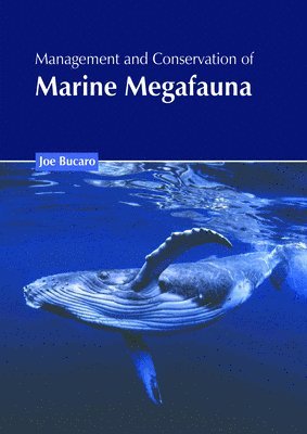 bokomslag Management and Conservation of Marine Megafauna