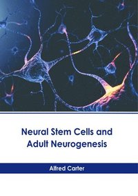 bokomslag Neural Stem Cells and Adult Neurogenesis